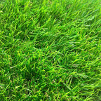 Pasto Sintético